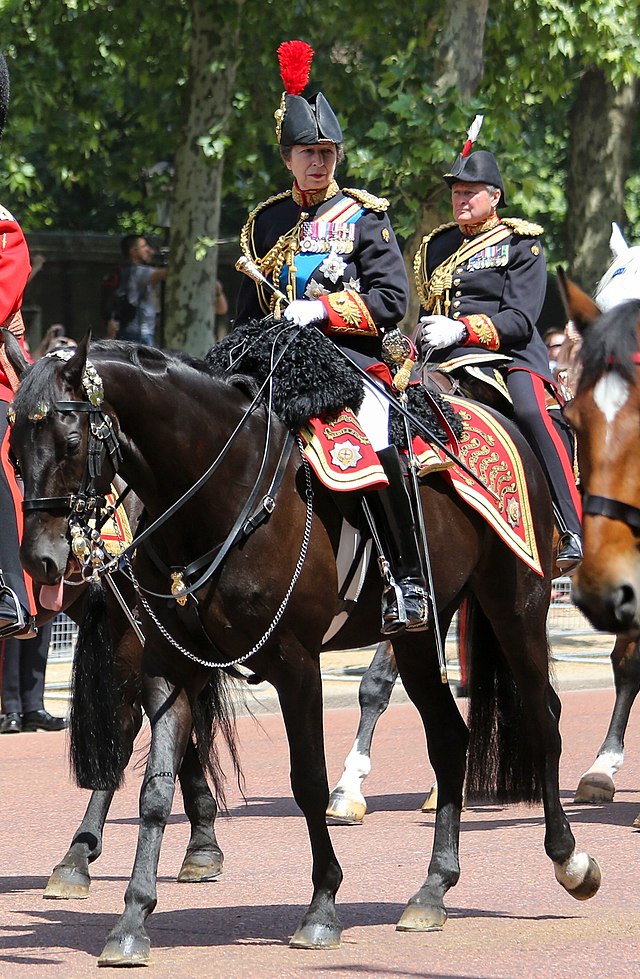 Trooping the Colour 2018 Anne Princess Royal 1 - Britain’s stylish military ‘chic’ blossomed down the centuries