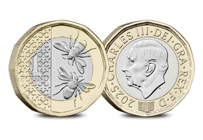 The Rarest £1 Coins dn 2025 annual commemorative set product images 18 - The Rarest £1 Coins