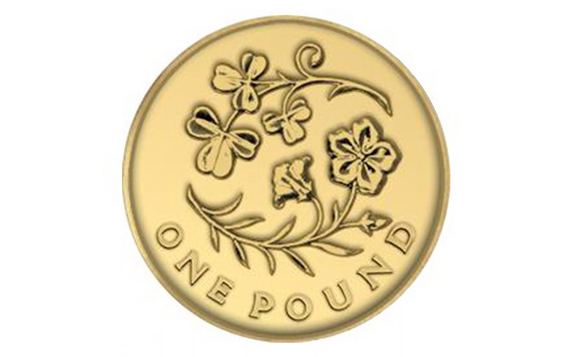 The Rarest £1 Coins rare 1 flax and shamrock 2014 - The Rarest £1 Coins