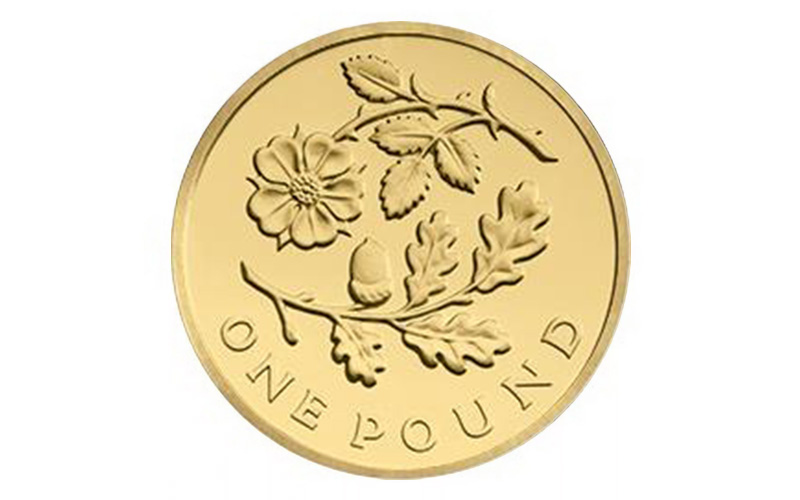 The Rarest £1 Coins rare 1 rose and oak 2013 - The Rarest £1 Coins