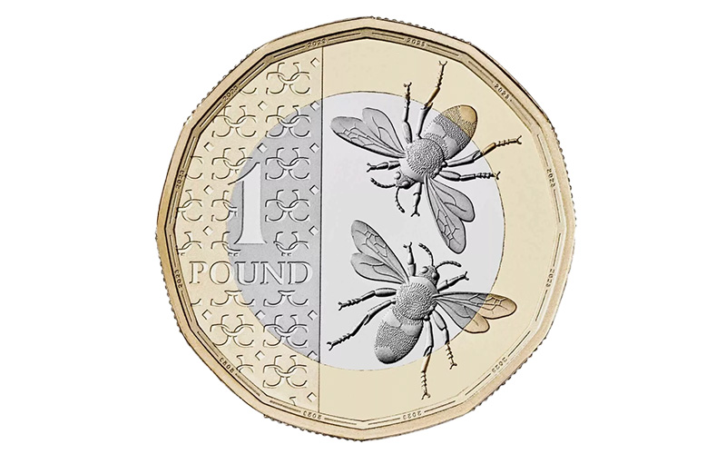 The Rarest £1 Coins rare king charles iii 1 bee 2023 - The Rarest £1 Coins